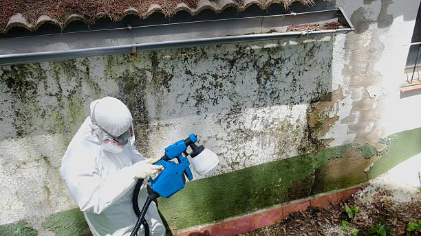 Trusted Mold Inspection service in Spring Grove, PA - Cheap Mold Removal